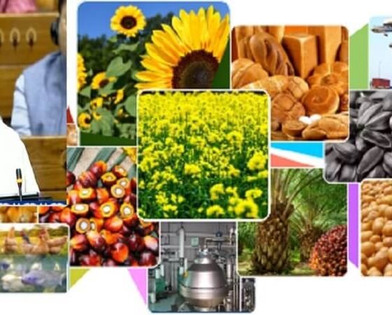 Budget 2024 - FM promises oilseeds mission to boost domestic production