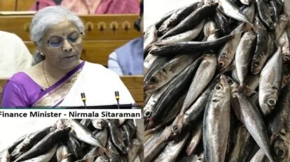 Budget 2024: Shares of shrimp, seafood makers in high demand following budget allocation