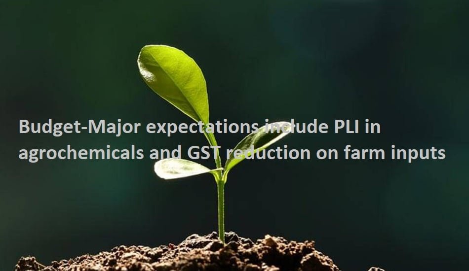 Budget-Major expectations include PLI in agrochemicals and GST reduction on farm inputs