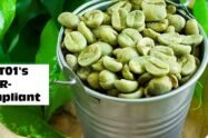 Kodagu's Hangal Coffee Exporting implements TRST01's EUDR-compliant solution
