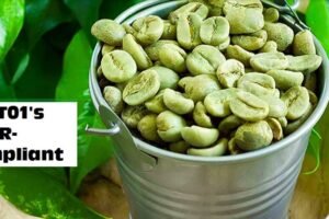 Kodagu's Hangal Coffee Exporting implements TRST01's EUDR-compliant solution