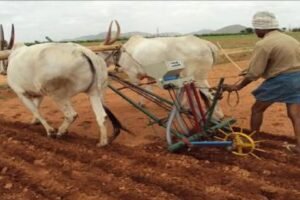 Sowing, mansoon, kharif karnataka farmers