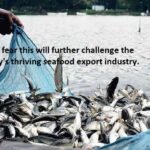 The US Marine Mammal Protection Act puts Indian seafood exports at risk