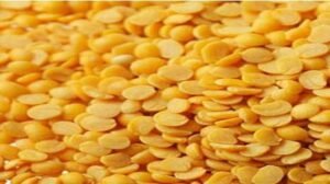districts tur urad cultivation