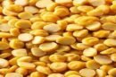 Prices for chana dal risen by up to 10% and expected to remain stable