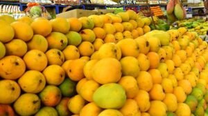 Farmers Selling Mangoes Online with Help from Government Portal
