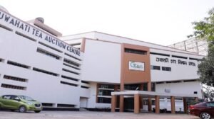 Guwahati Tea Auction Centre Sets Record with Rs 3,850 Crore Sales in FY 2024-25