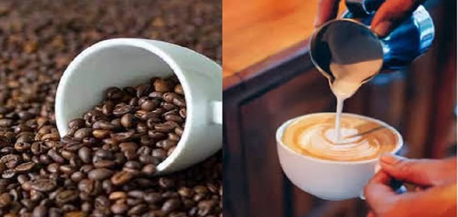 speciality Coffee