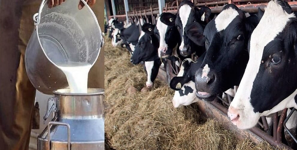 Dairy farmers have planned a strike on May 16, demanding price hike