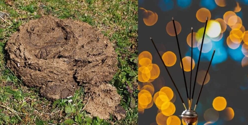 MDPH to launch cow dung-based agarbattis, dhoop cups, and dhoop cones