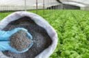 China stopped exporting specialty fertilisers to India, raising concern for...