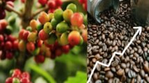 India’s Coffee Exports Jump 125 Over 11 Years, Reach 1.8 Billion