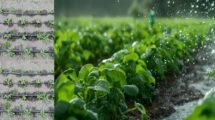 Karnataka farmers to benefit from modern irrigation techniques