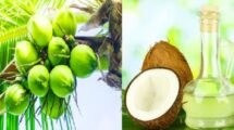 Why Coconut oil prices soaring at ₹410 per liter main reason