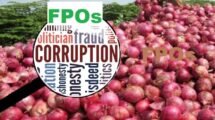 Farmers Allege Corruption in FPO Model, Urge APMC-Based Procurement