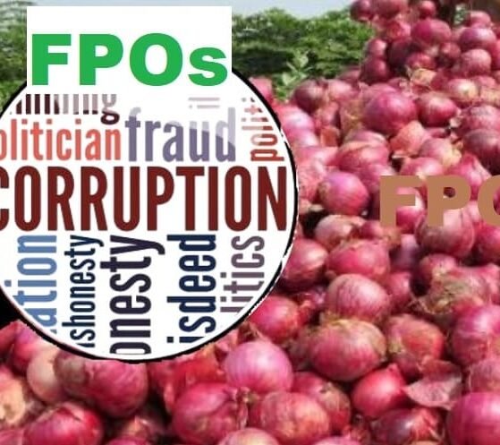 Farmers Allege Corruption in FPO Model, Urge APMC-Based Procurement