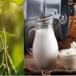 Farmers Body to Modi - Say No to GM Foods and US Dairy Products