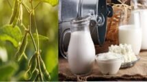 Farmers Body to Modi - Say No to GM Foods and US Dairy Products