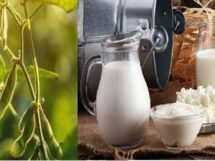 Farmers Body to Modi - Say No to GM Foods and US Dairy Products