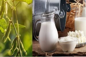 Farmers Body to Modi - Say No to GM Foods and US Dairy Products
