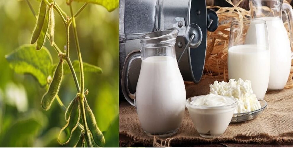 Farmers Body to Modi - Say No to GM Foods and US Dairy Products