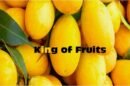 Mango King of Fruits
