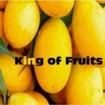 Mango King of Fruits