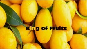 Mango King of Fruits