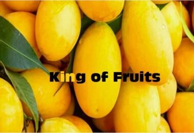 Mango King of Fruits