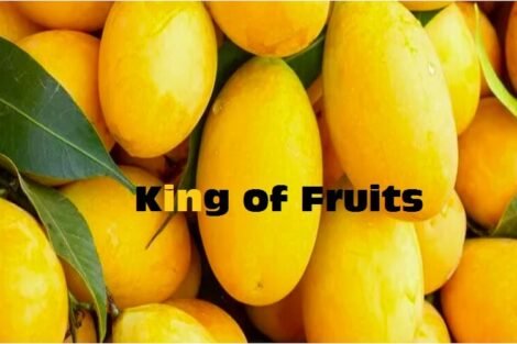 Mango King of Fruits