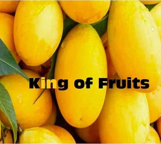 Mango King of Fruits