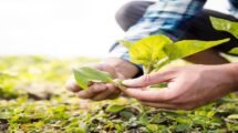 Parliament Panel Proposes Roadmap to Boost Sustainable Farming