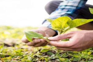 Parliament Panel Proposes Roadmap to Boost Sustainable Farming