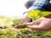 Parliament Panel Proposes Roadmap to Boost Sustainable Farming