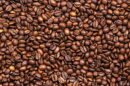 coffee export increases