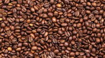 coffee export increases