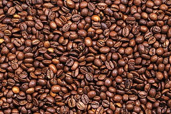 coffee export increases