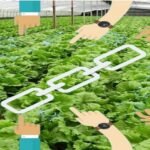 FarMart to Roll Out AI-Powered Market Linkage Tool by Year-End