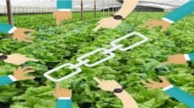 FarMart to Roll Out AI-Powered Market Linkage Tool by Year-End