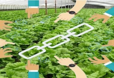 FarMart to Roll Out AI-Powered Market Linkage Tool by Year-End