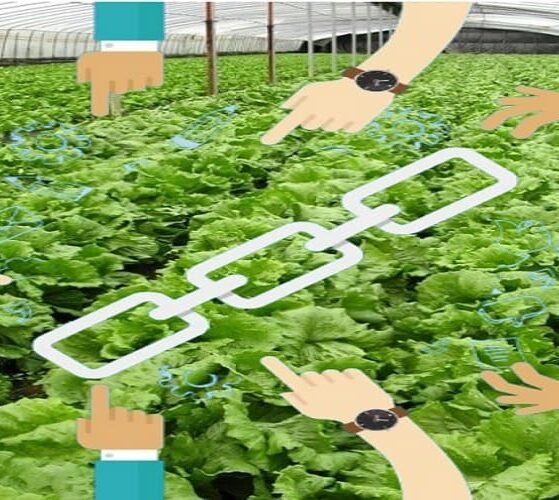 FarMart to Roll Out AI-Powered Market Linkage Tool by Year-End
