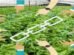 FarMart to Roll Out AI-Powered Market Linkage Tool by Year-End