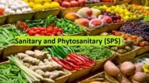 India-UK free trade agreement for agri products faces roadblock under SPS rules