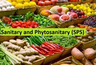 India-UK free trade agreement for agri products faces roadblock under SPS rules