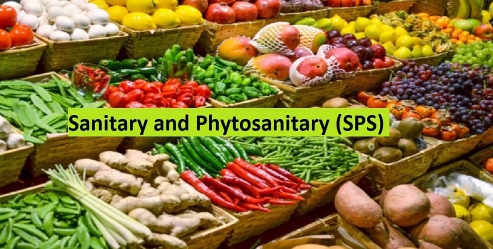 India-UK free trade agreement for agri products faces roadblock under SPS rules