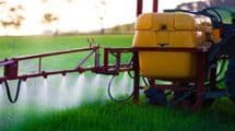 Is India’s Pesticide Market Transforming Toward Sustainable Innovation