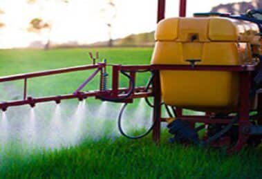Is India’s Pesticide Market Transforming Toward Sustainable Innovation