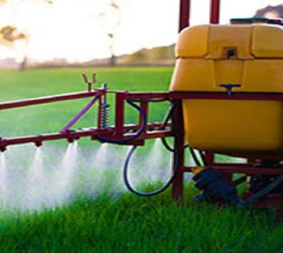Is India’s Pesticide Market Transforming Toward Sustainable Innovation