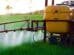 Is India’s Pesticide Market Transforming Toward Sustainable Innovation
