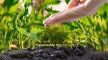 New-Gen agri grads taking up sustainable agri startups seriously - Fateh Rural chief